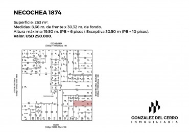 NECOCHEA 1874