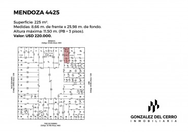 MENDOZA 4425