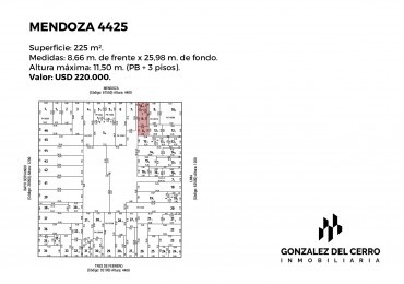 MENDOZA 4425